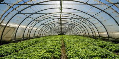 بهبود عملکرد پایدار سیستم های کشاورزی