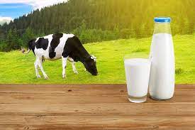 آیا ممکن است در آینده محصولی جدید جایگزین شیر شود؟