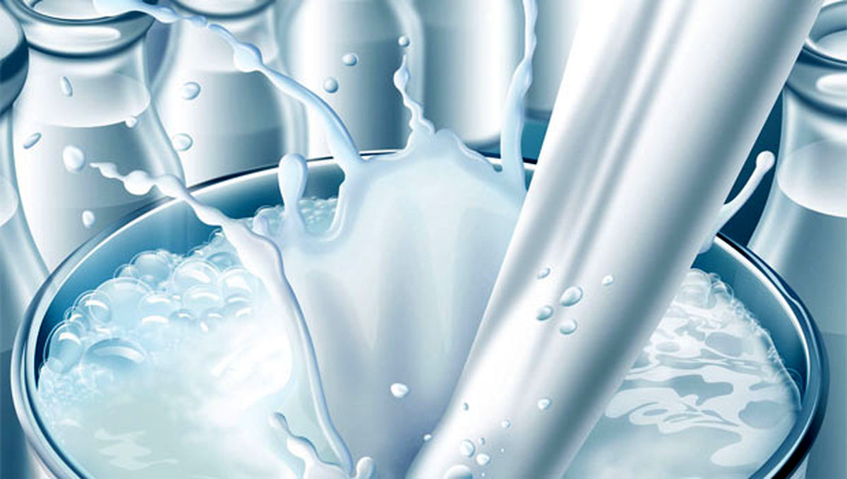 فروش شیر به کارخانجات لبنی