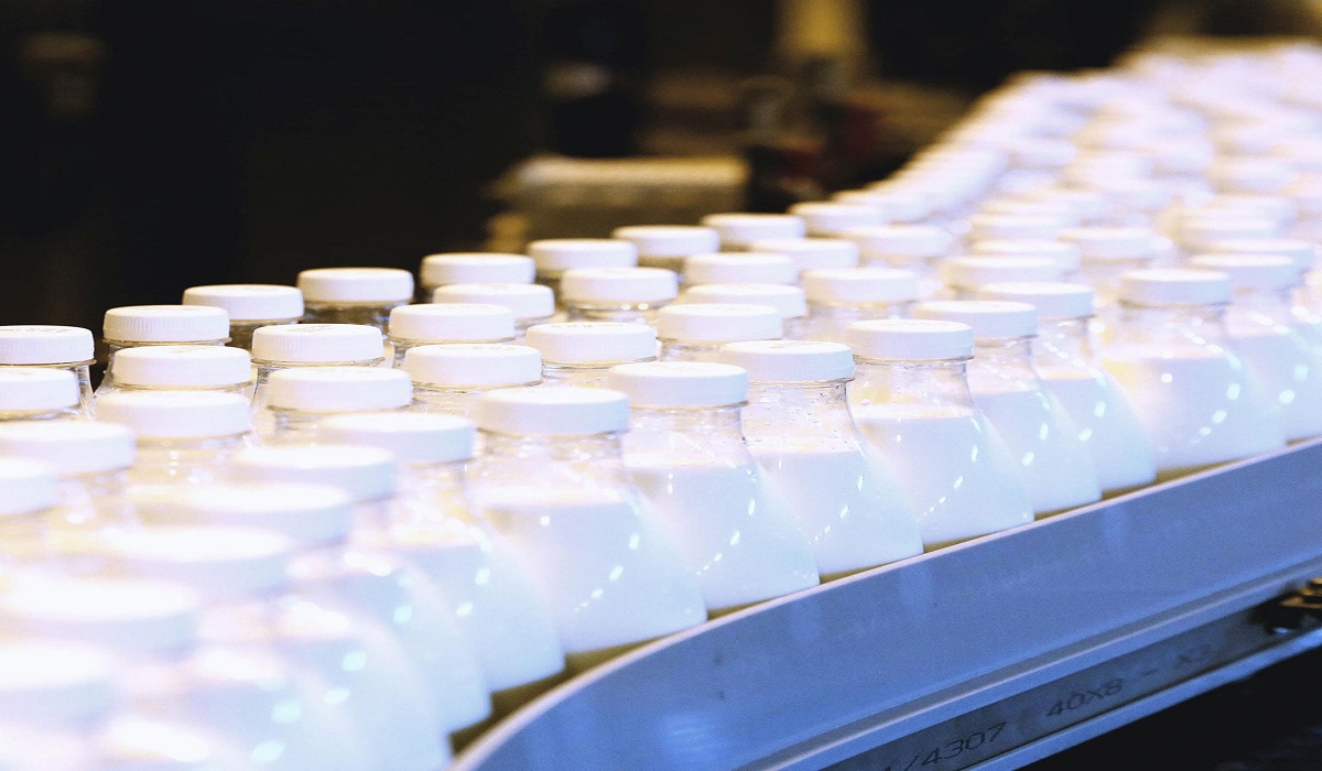 توزیع محصولات لبنی و شیر پاستوریزه به خارج از کشور