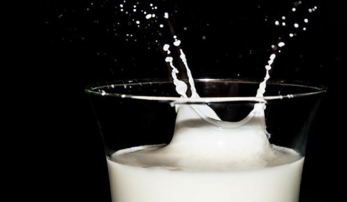 تولید و فراوری شیر به چه شکل است؟